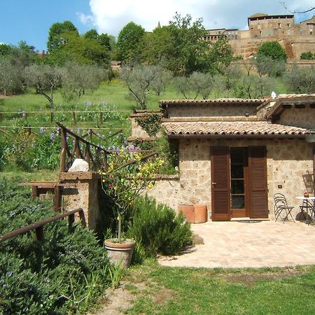 B&B Casaselita Orvieto Dış mekan fotoğraf