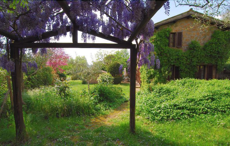 B&B Casaselita Orvieto Dış mekan fotoğraf